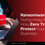 How zero trust protect your business